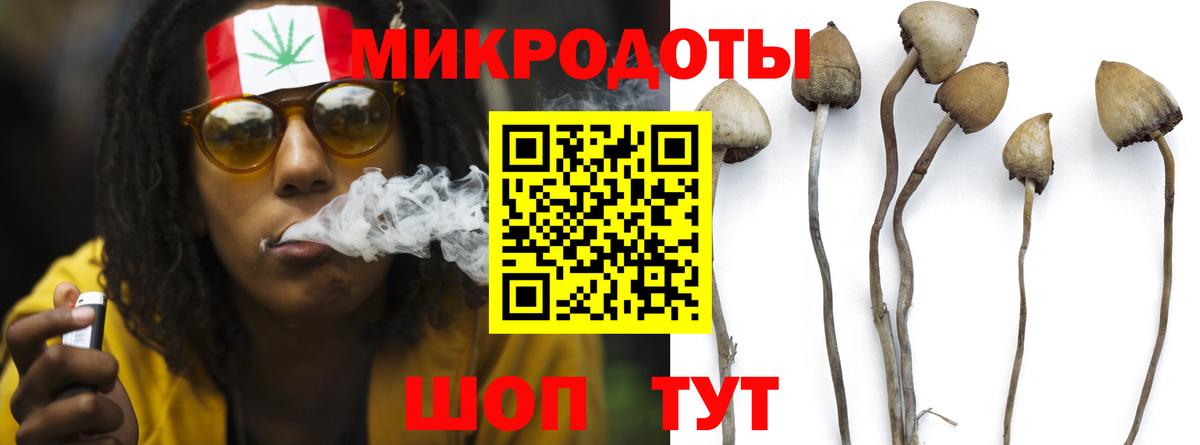 Первоуральск  Псилоцибиновые грибы Psilocybe  Вход с VPN 
